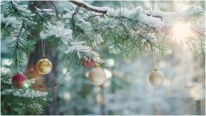 Vivi продлевает праздничные маршруты и меняет расписание поездов на Рождество и Новый год