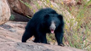 В Лондоне во время сидячей акции протеста задержали Грету Тунберг