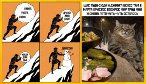 Юмор за день и конец концов