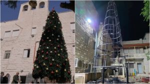 В Индии медведь ворвался в школу и утащил ученика из класса