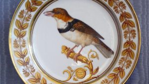 Рождество по западному обряду: традиции Адвента, Сочельника и праздничных застолий