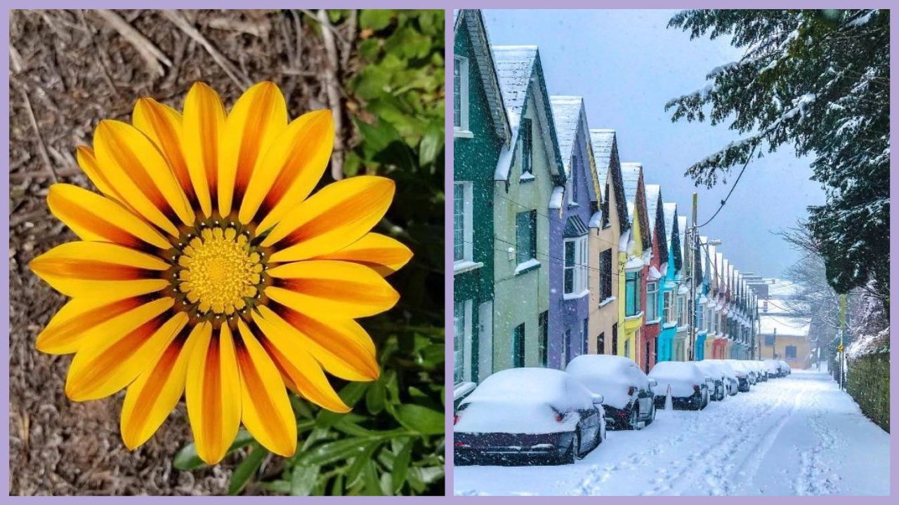 Сейм рассмотрит вопрос об увеличении государственного семейного пособия