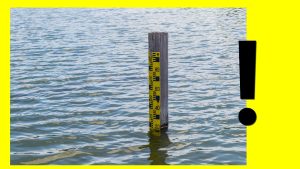 Пятница будет солнечной, без осадков, воздух прогреется до +7