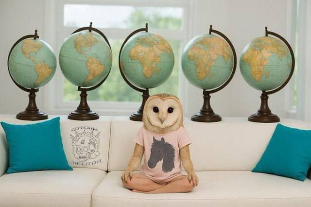 Мексиканских учителей обвинили в «Twitter-терроризме»