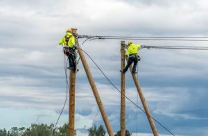 Прогресс: в 2025 году 84% жителей Риги сортируют бытовые отходы