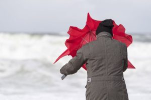 Оранжевое предупреждение: в выходные Латвию накроет штормовой ветер