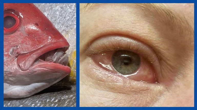 Мир в деталях: 16 кадров, которые ломают привычные сценарии