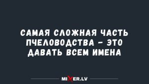 Юмор за день и пропущенные