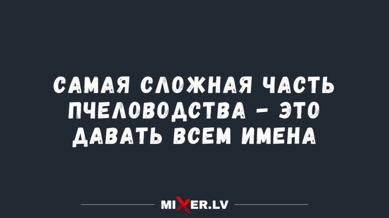 Юмор на утро и пчеловодство