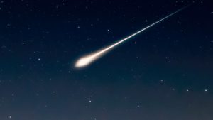 Балерина Каппучина и Mexa-Гитлер: названы самые странные эпизоды с ИИ в 2025 году