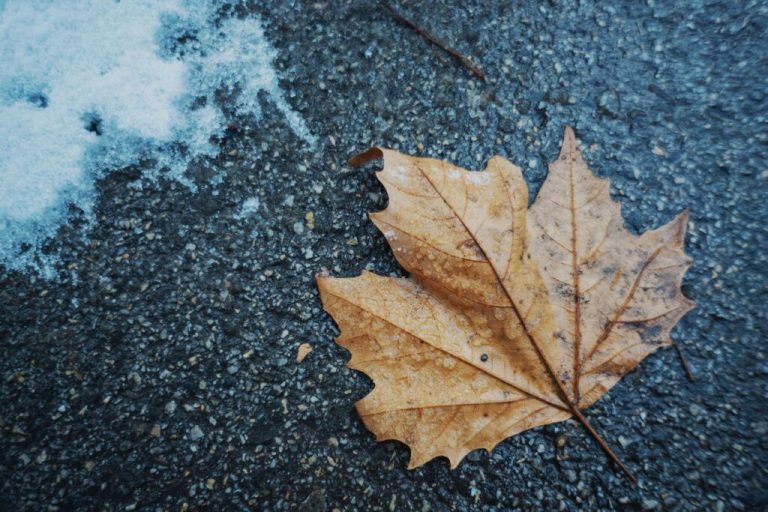 Погода на среду: дождь, мокрый снег, туман