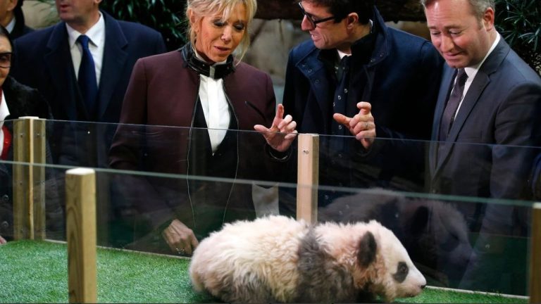 Макрон прибыл в Китай: панда для Брижит и переговоры с Си Цзиньпином