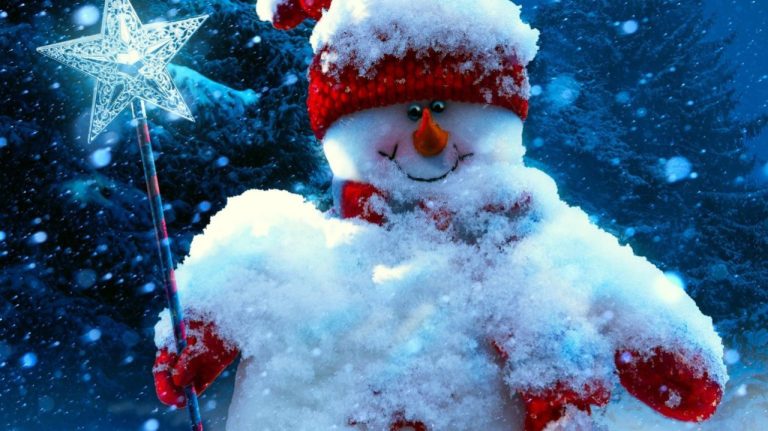 Новогодняя погода: снег, метель, мороз