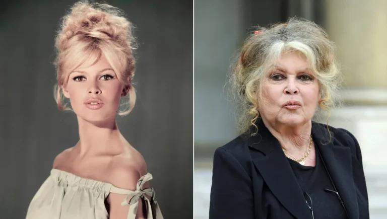 Более 100 любовников, 4 попытки самоубийства и жизнь, полная скандалов: 15+ фактов о Брижит Бардо