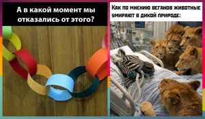 Козероги, Водолеи, Раки и Тельцы в гороскопе на четверг 1 января