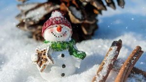 За убийство трех собак в Баускском крае выдвинут обвнинение трем полицейским