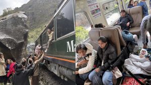 Раскрыта наглая афера с «зелёной энергией»: людей заставляли переплачивать за солнечные панели