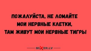 Юмор для тех, кто уже повзрослел и понял, что «свобода» - это когда дети сами нашли, куда дели пульт.