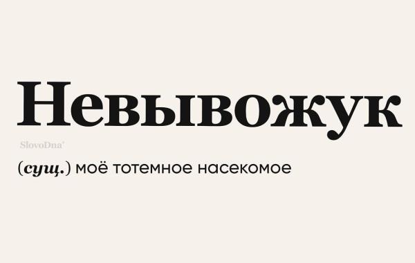 Слово как искусство: 17 шуточных значений, которые растопят ваш лёд цинизма.
