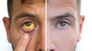 Трамп получил первую премию мира ФИФА и выступил на жеребьевке ЧМ-2026