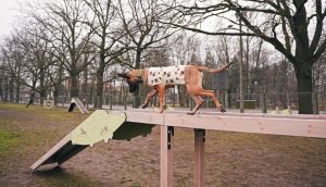 В Латвии люди стали больше тратить: продажи растут быстрее, чем в Европе