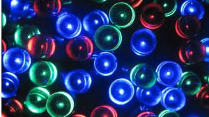 В Риге обновили первую городскую площадку для выгула собак - на очереди Кенгарагс, Агенскалнс, Пурвциемс