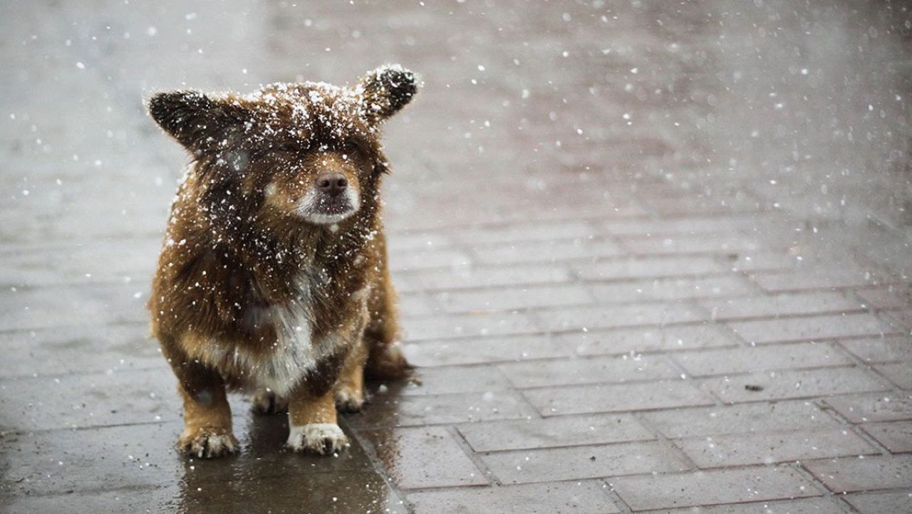 Зонты не прячьте! Следующая неделя будет теплой и дождливой