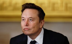 Из-за климатических перемен рождественские ёлки в Литве могут исчезнуть