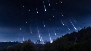 В Эстонии при загадочных обстоятельствах погибла чиновница и хоккеистка Елена Шаронберг