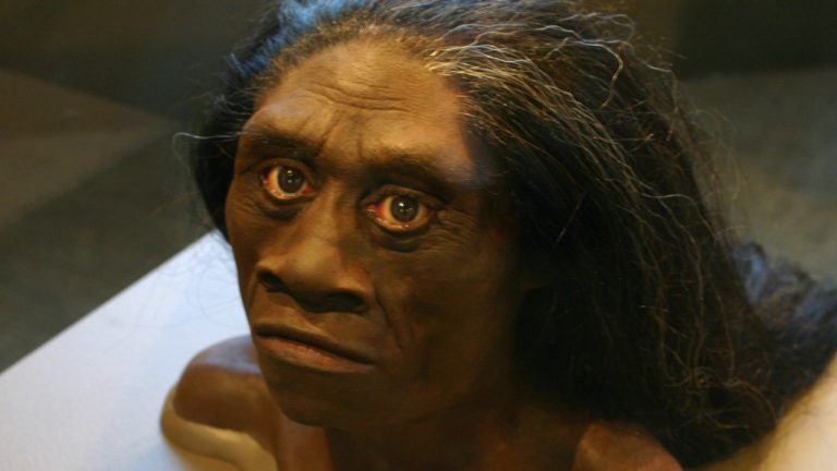 Эксперты разгадали тайну исчезнувших людей-хоббитов