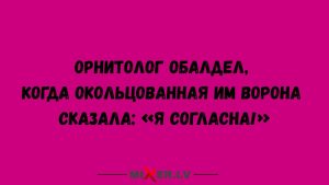 Вихрь прошлого: 17 исторических фото, которые вызовут улыбку и недоумение