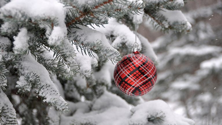 В пятницу продолжится снегопад, а местами - ледяной дождь