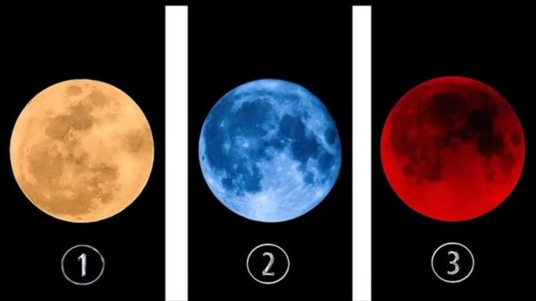 Тест: доверяете ли вы судьбе? Выберите Луну - и узнайте, что управляет вашими решениями