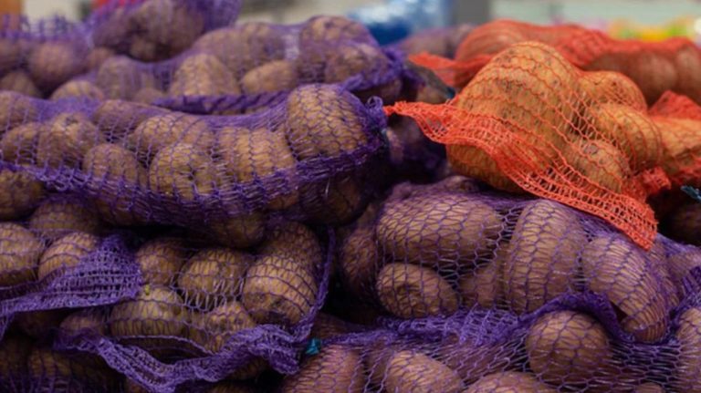 В Берлине бесплатно раздают 4 000 тонн картофеля 