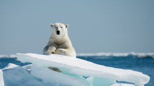 Цифровые двойники, беспилотный транспорт и базы на Луне: каким будет мир в 2050 году