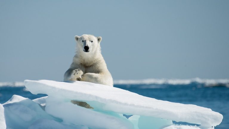 Войска на старте: НАТО и Британия стягивают силы в Арктику