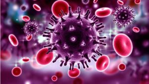 Опасно для людей и животных: в Латвии собирают подписи за полный запрет пиротехники