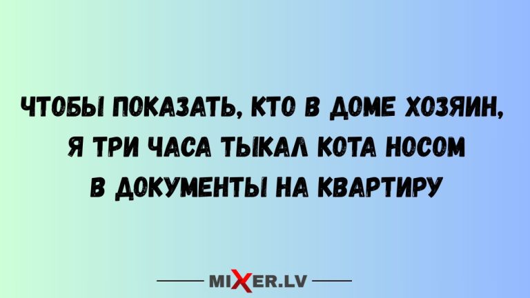 Юмор на вечер и кто в доме хозяин