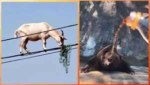 Нравится вам это или нет, но эти 7 трендов 2010 года будут повсюду в 2026 году.