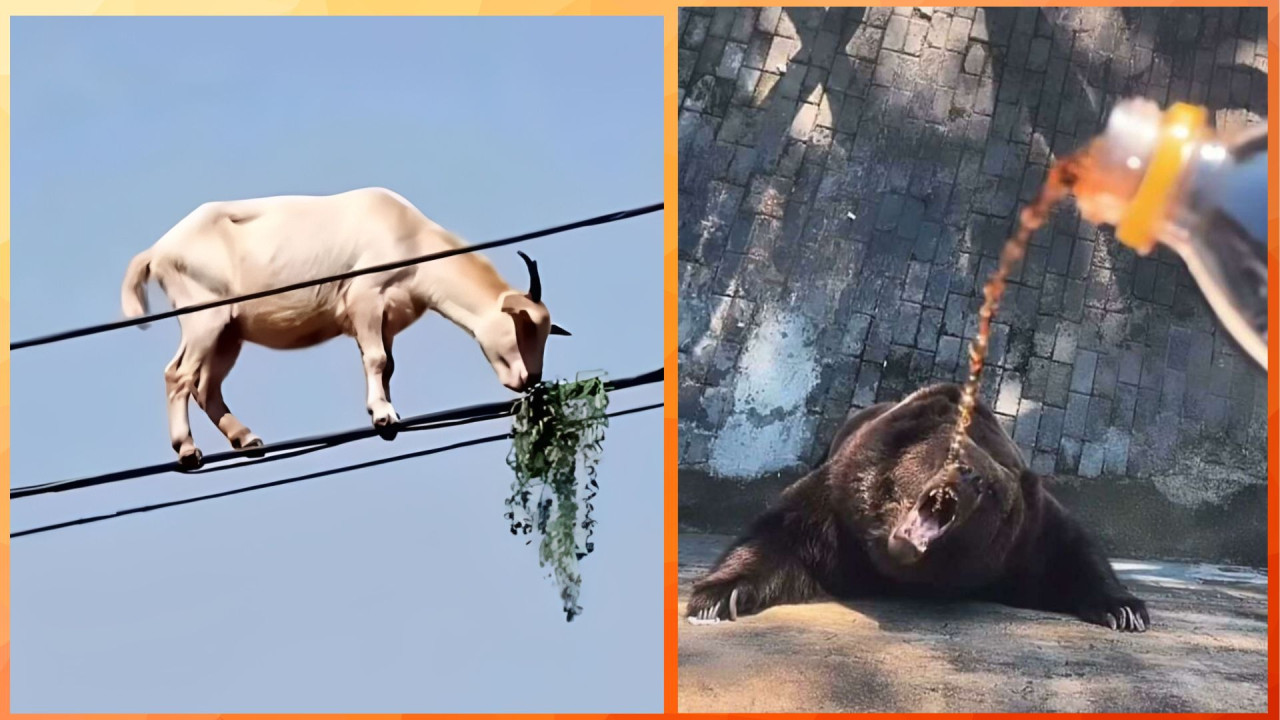 Журналист и писатель Виктория Лякишева: «Нелюбовь нужно просто заменять любовью»