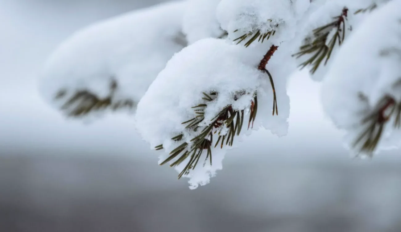 Погода на среду: морозно, местами - поземка и метель