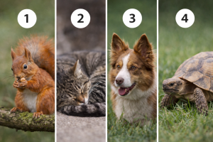 Магия повседневности: 16 доказательств того, что чудеса случаются за углом