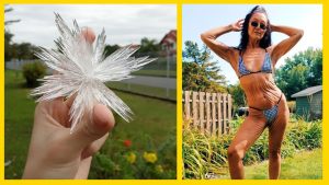 Стивен Кинг признался, какую легендарную рок-группу он терпеть не может. Ответ очень удивил!