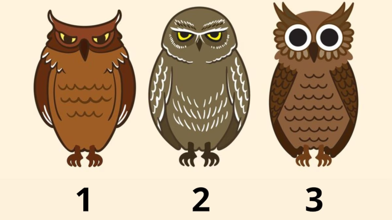 Визуальный тест с тремя совами: выберите одну сову на картинке и прочитайте личное сообщение о вашем ресурсе и препятствиях.