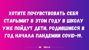 Три совы - три подсказки судьбы: выберите одну и получите личное сообщение
