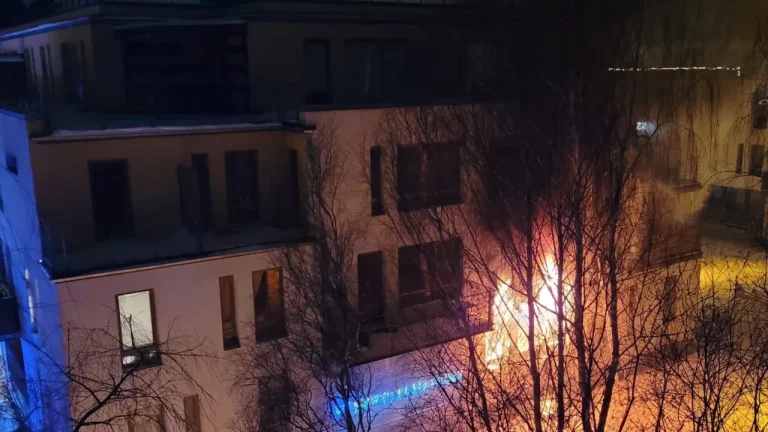 Пожар в жилом доме в Кекавской волости: погибли двое детей 