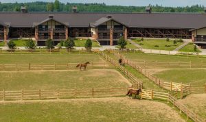 Арабские страны убедили Трампа «дать Ирану шанс»