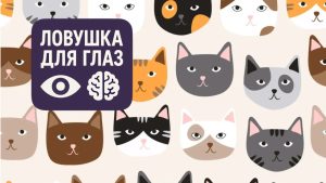 Оптическая иллюзия с множеством кошачьих мордочек, среди которых нужно найти кошку с носом в форме сердечка