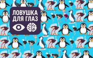 Визуальная головоломка: среди множества одинаковых птиц спрятана одна особенная, отличающаяся от остальных.