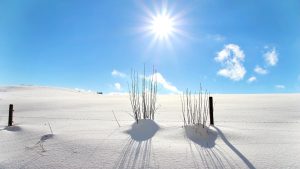 Начат уголовный процесс по факту трагического пожара в Кекавской волости